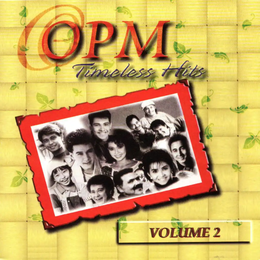 OPM Timeless Hits, Vol. 2