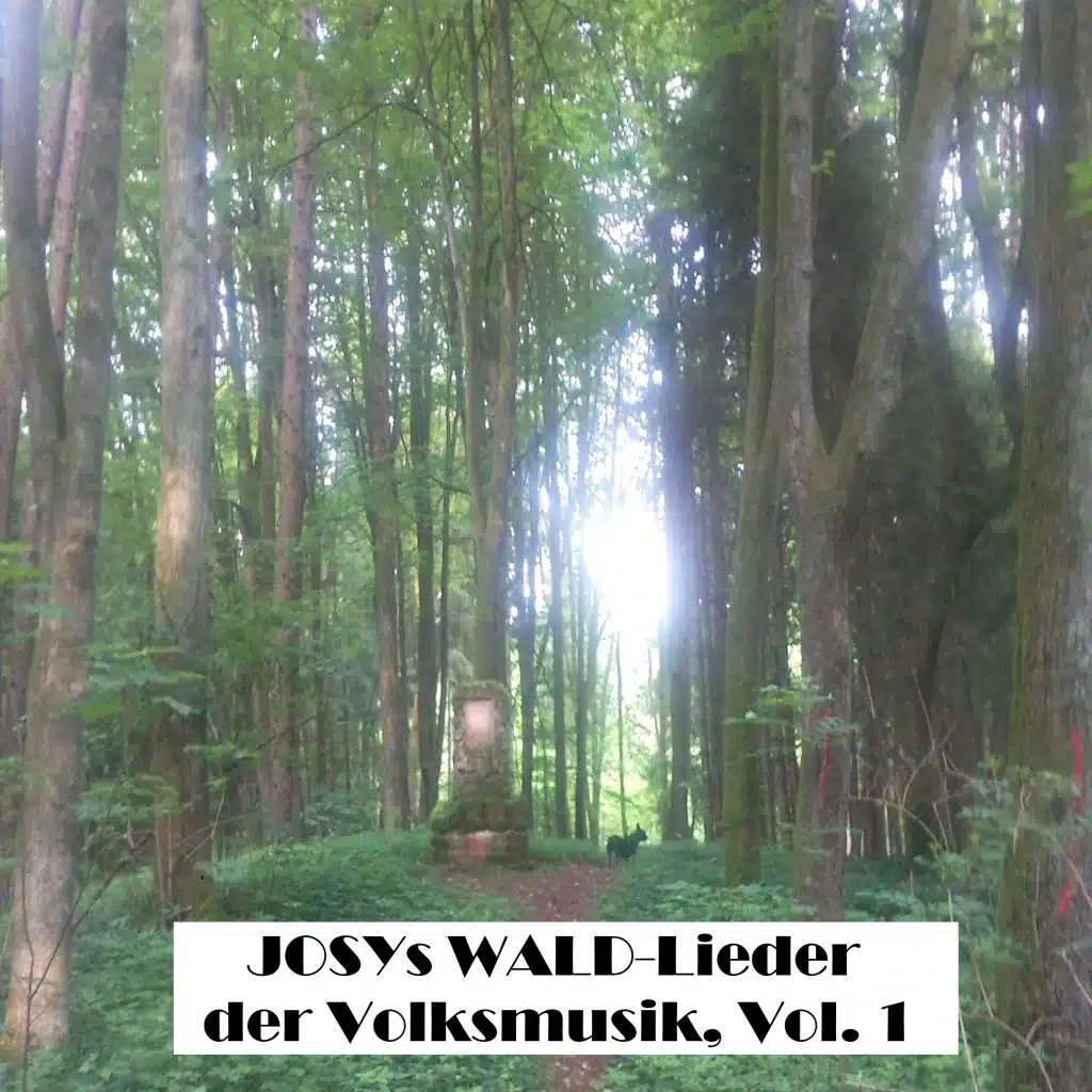Josys WALD-Lieder der Volksmusik, Vol. 1