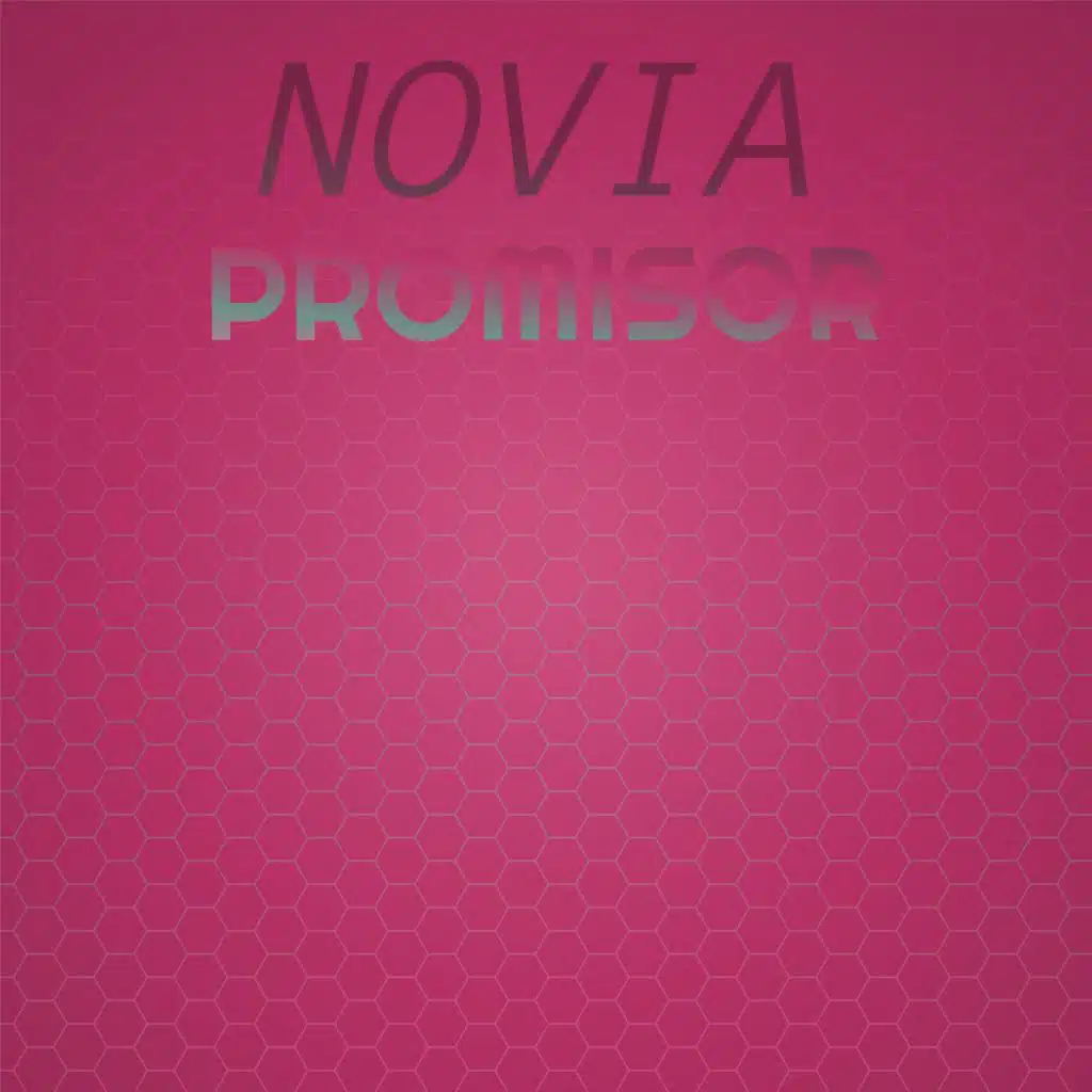 Novia Promisor