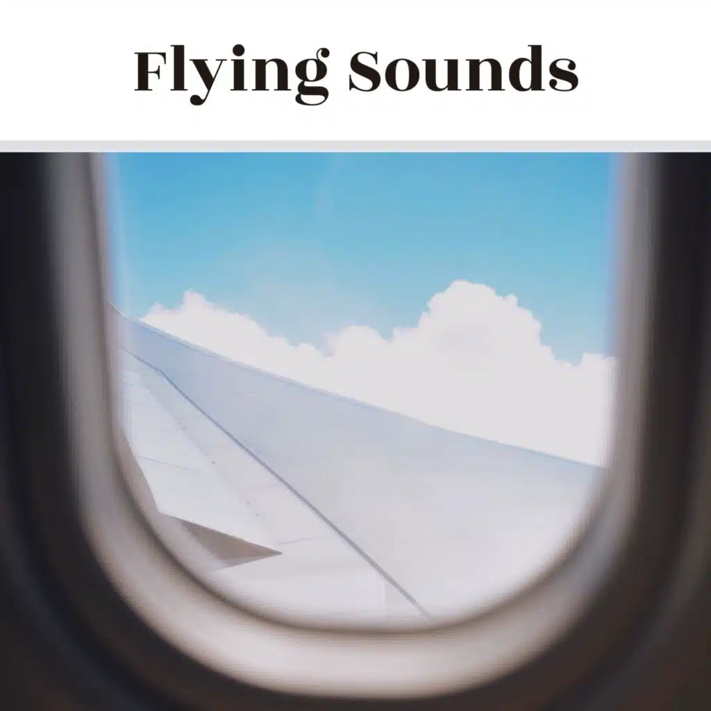 Flying Sounds