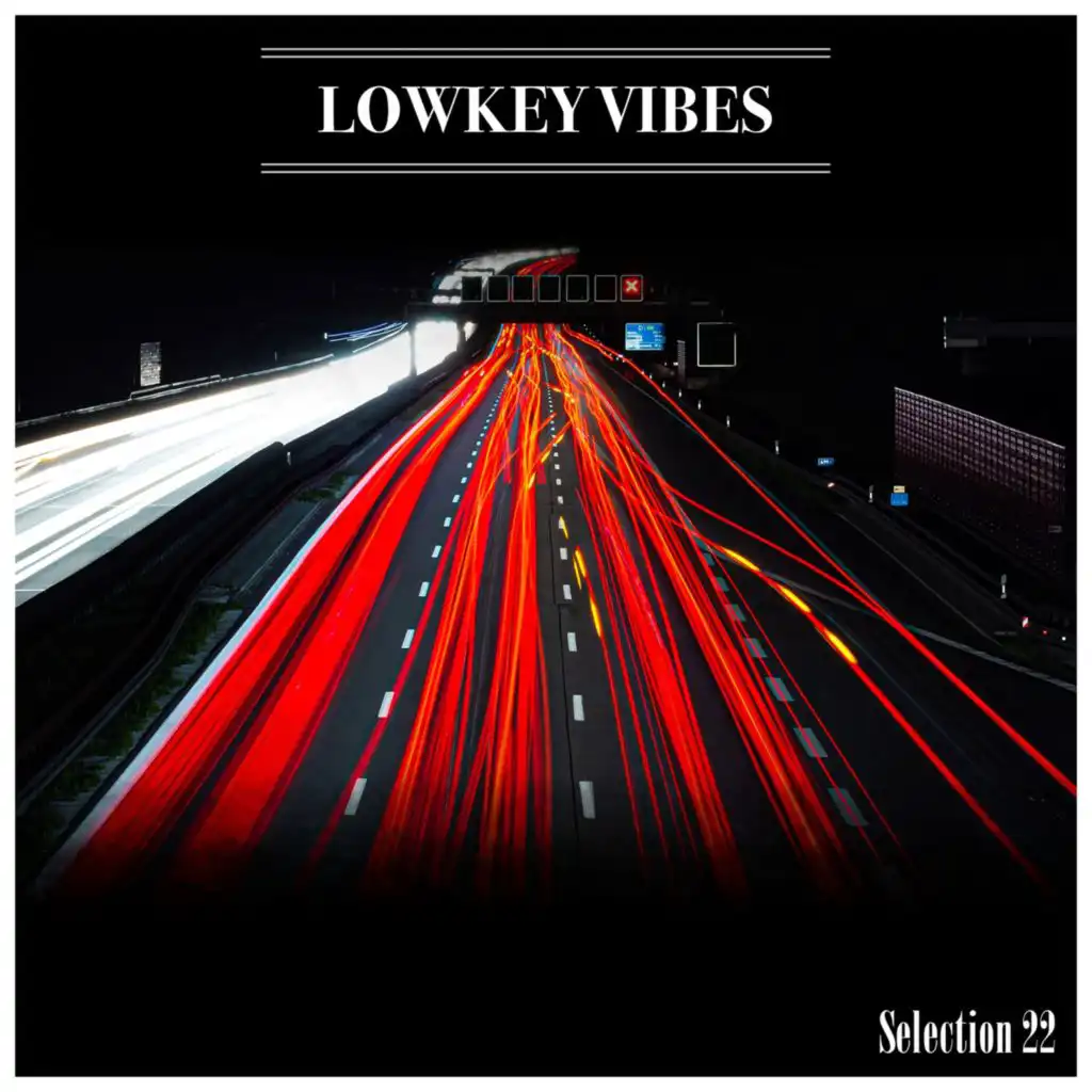 Lowkey Vibes Selection 22