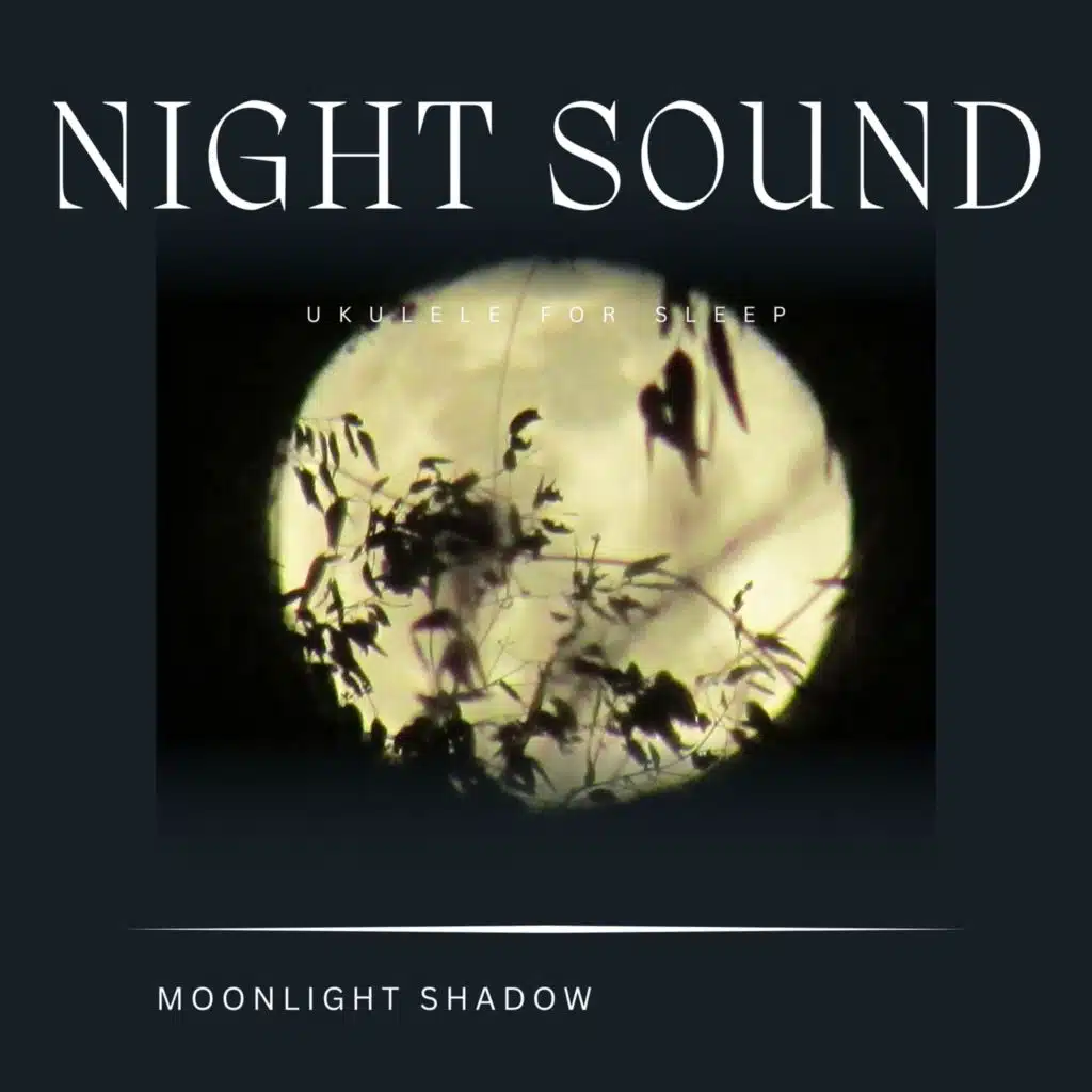 Radiant Life (with Night Sound)