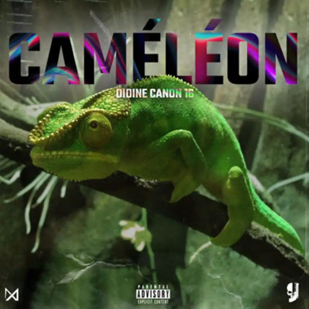 CAMELEON