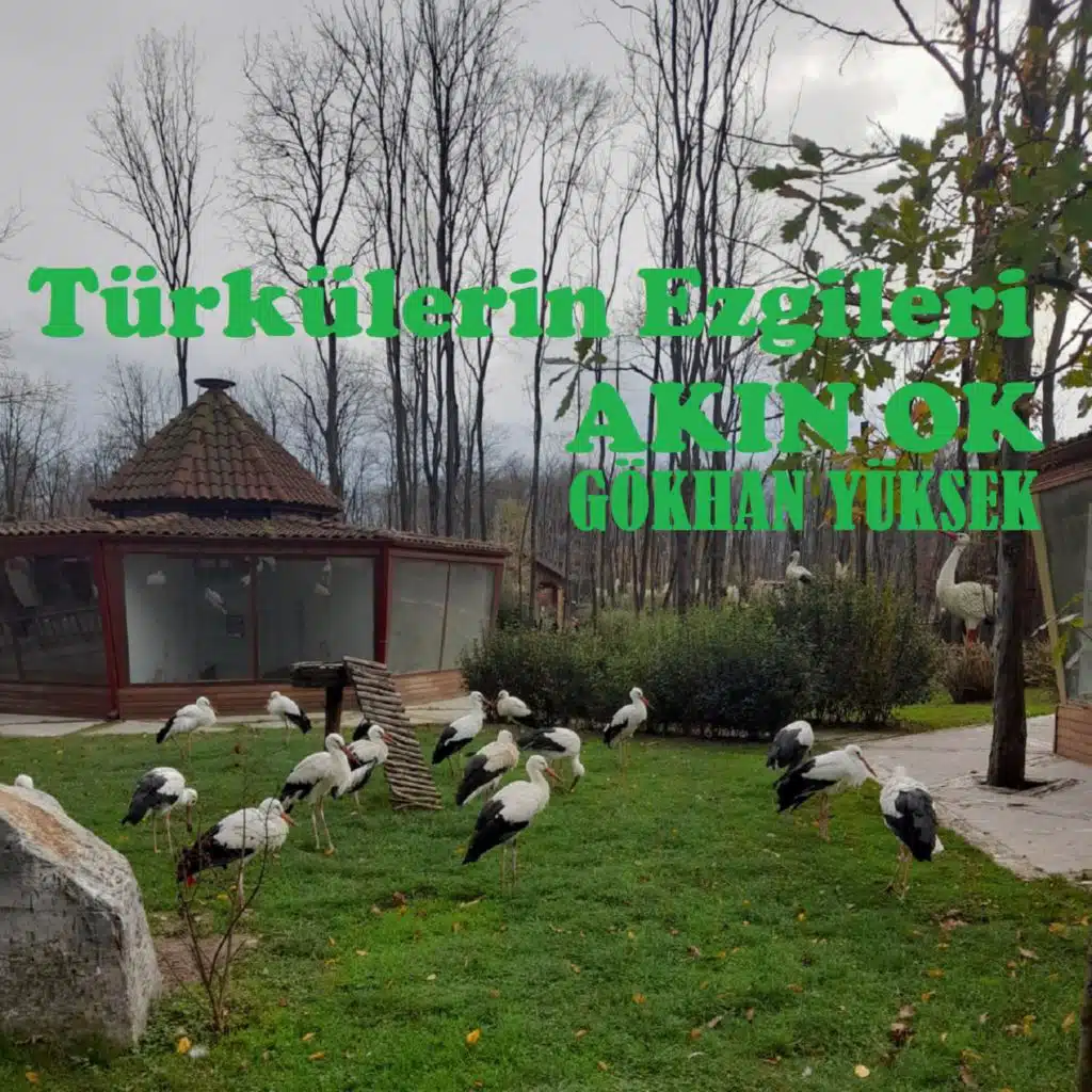 Türkülerin Ezgileri