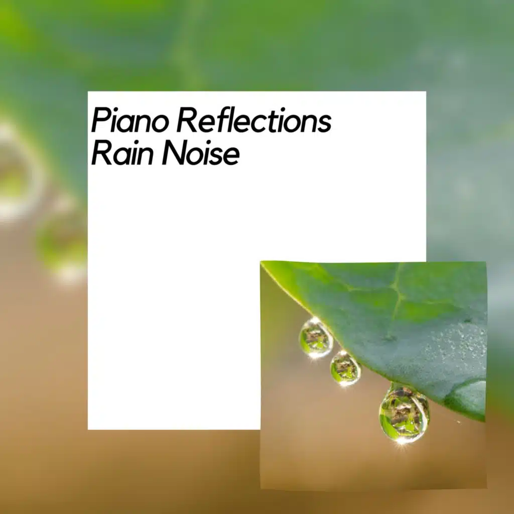 Nature Meditation Channel