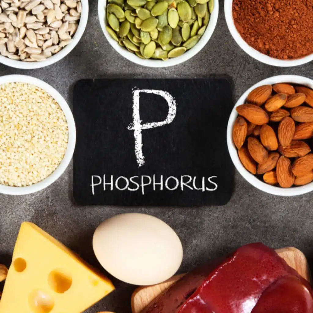 فوائد الفسفور