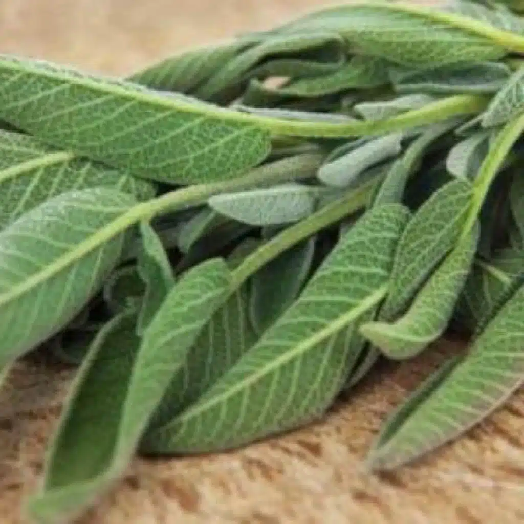 فوائد المرامية