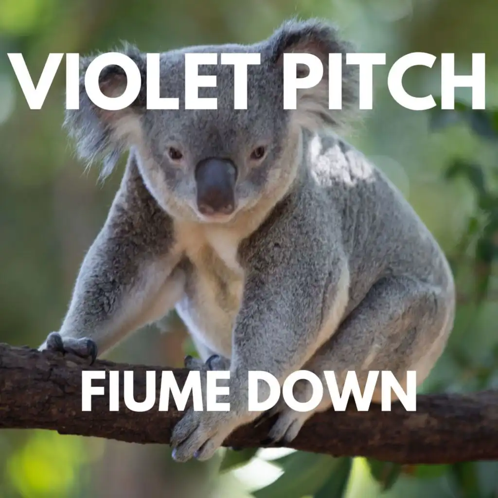 Fredrick Boyd (Pitch-4)