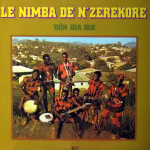 Le Nimba De N'Zerekore