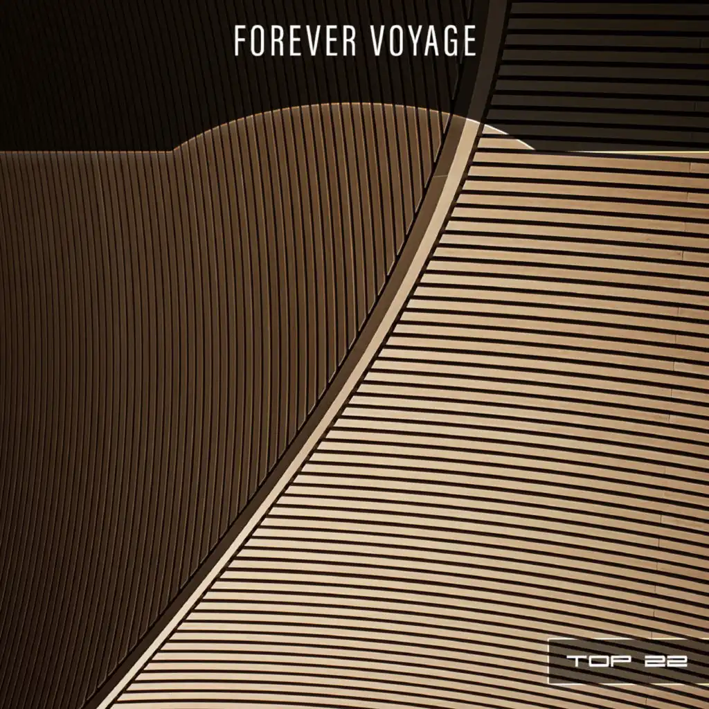 Forever Voyage Top 22