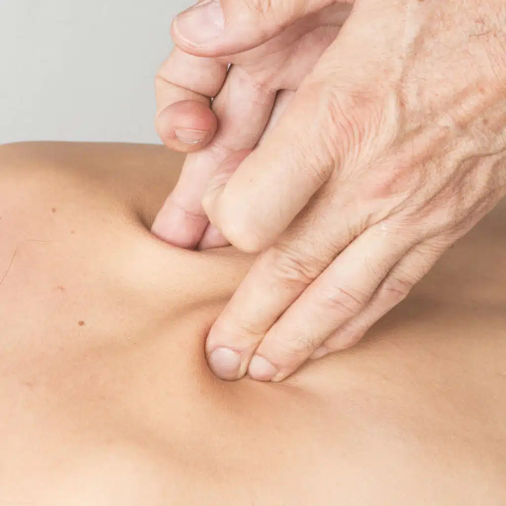 ????  ????  ⏮  ????