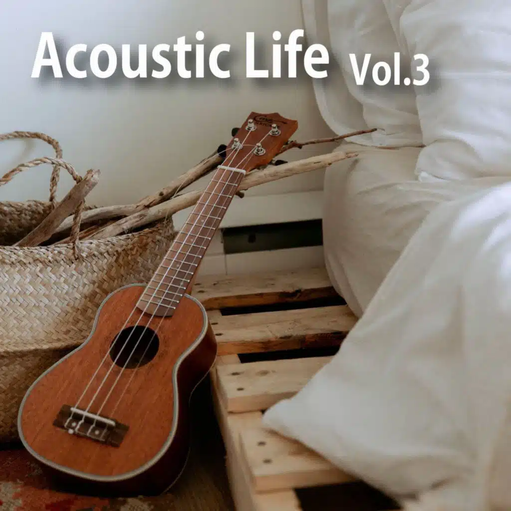 Acoustic Life, Vol.3