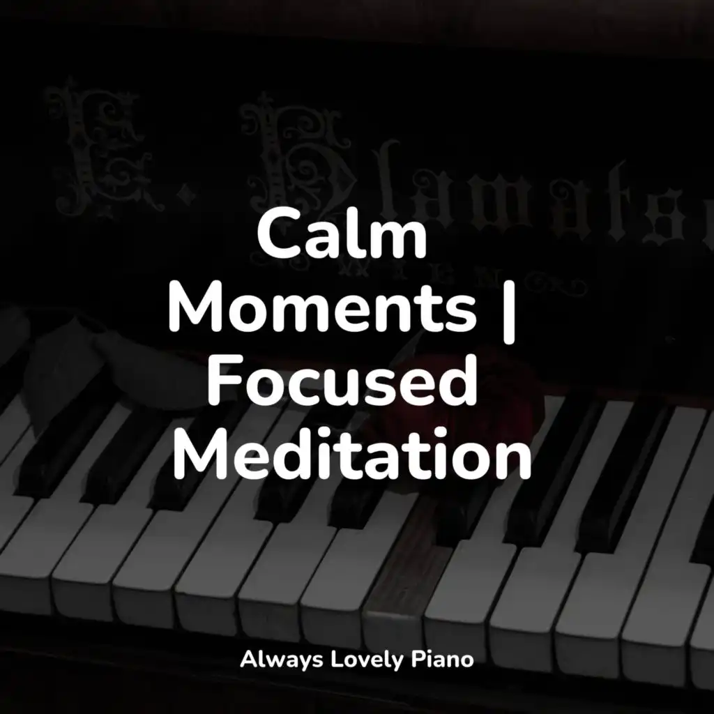 Calm Moments | Focused Meditation