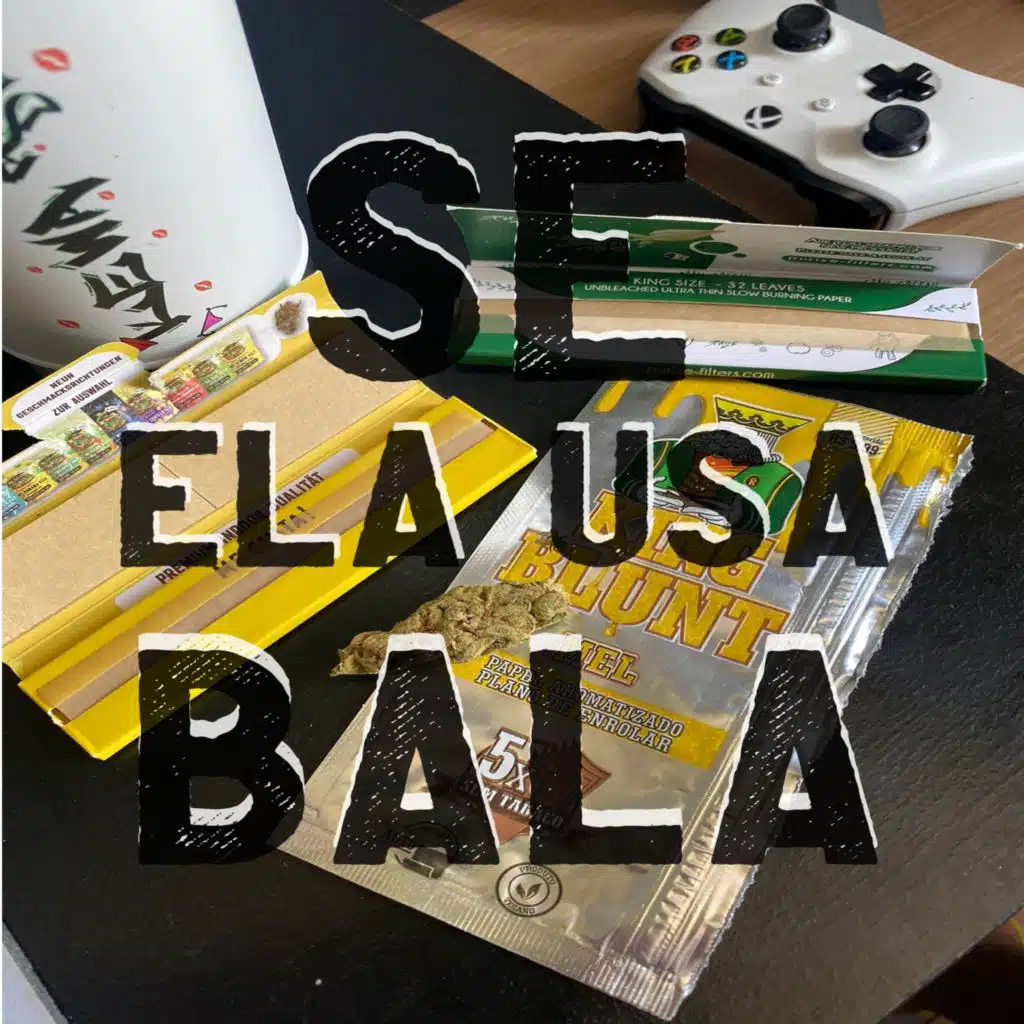 Se Ela Usa (feat. OGMO)