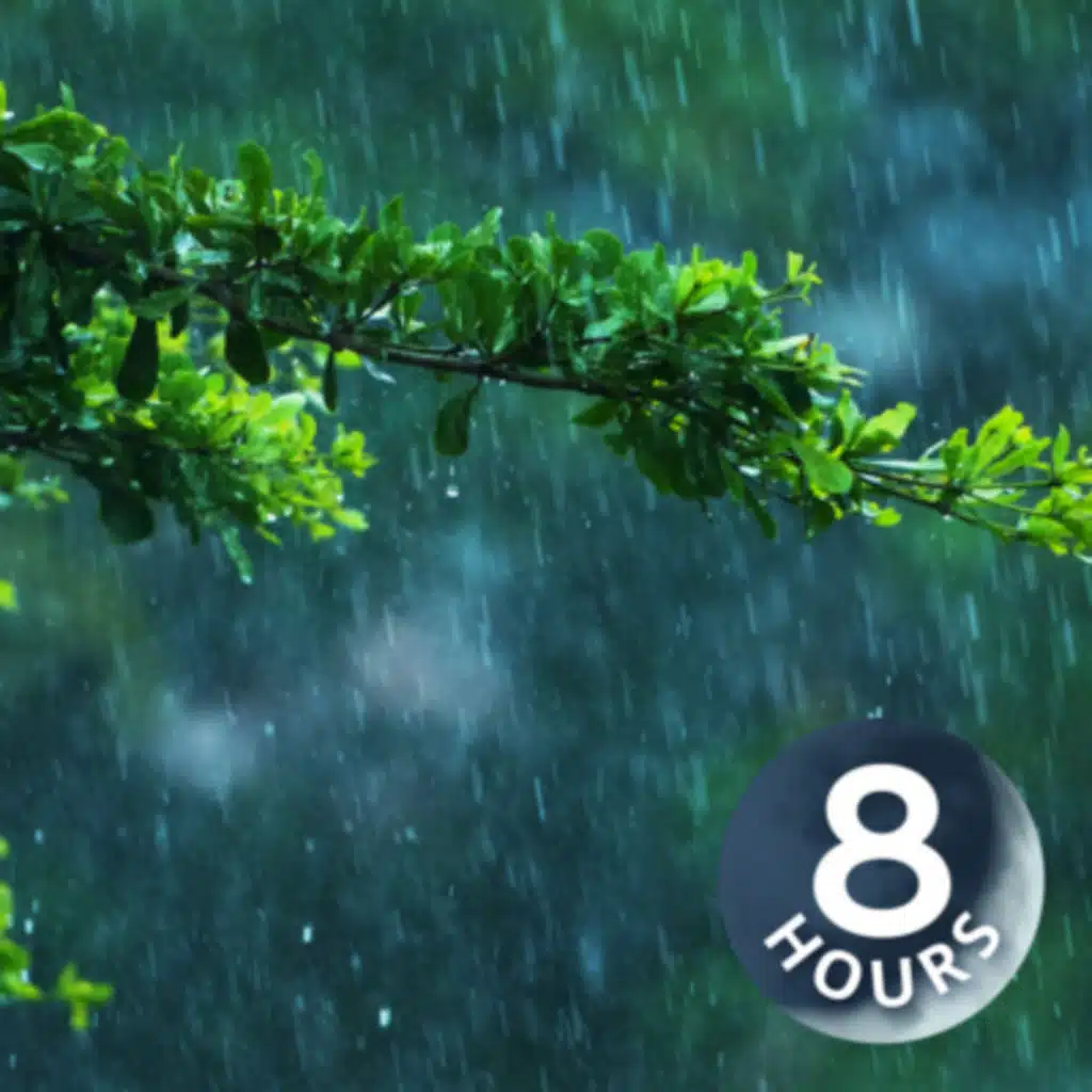 Jungle Rain Sounds for Sleep I White Noise Raining 8 Hours