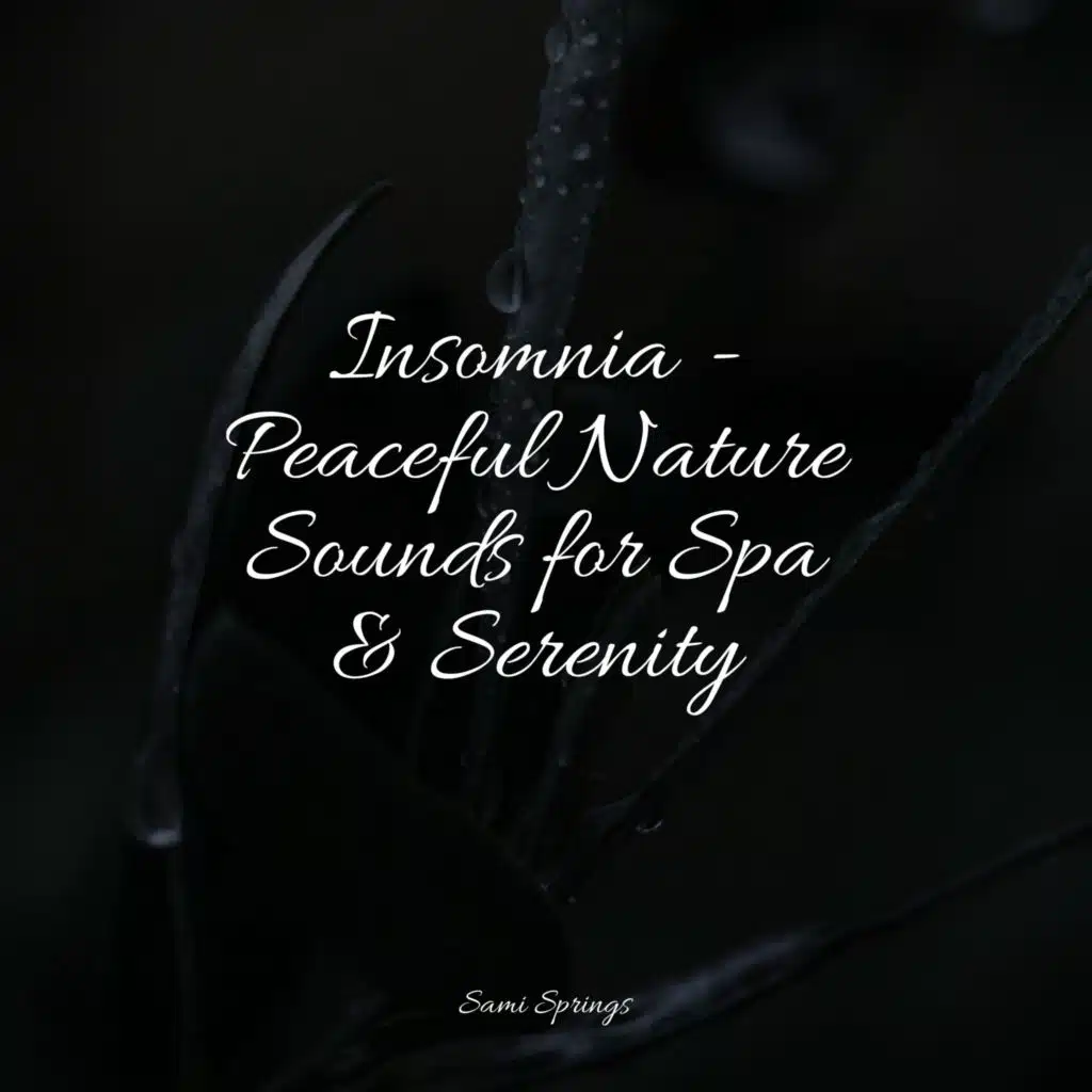 50 Loopable Rain Sounds for Sleep