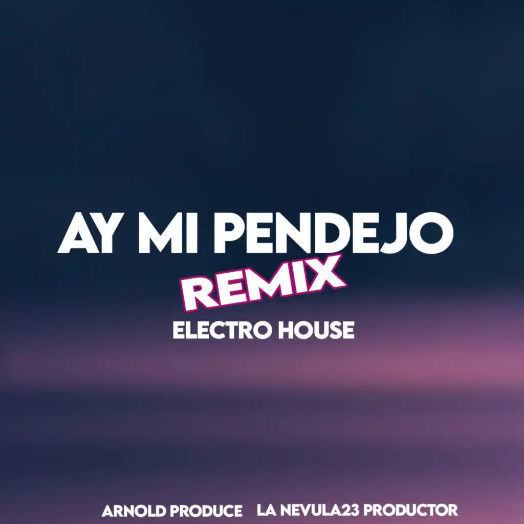 Ay Mi Pendejo (Electro House Remix)