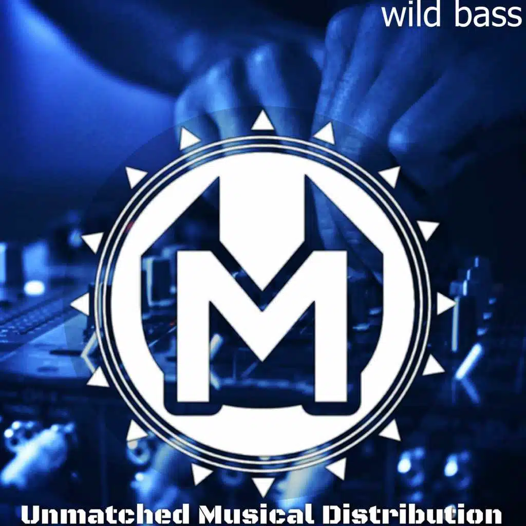 Black Panther Recordings