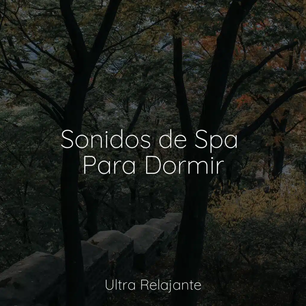 Sonidos de Spa Para Dormir
