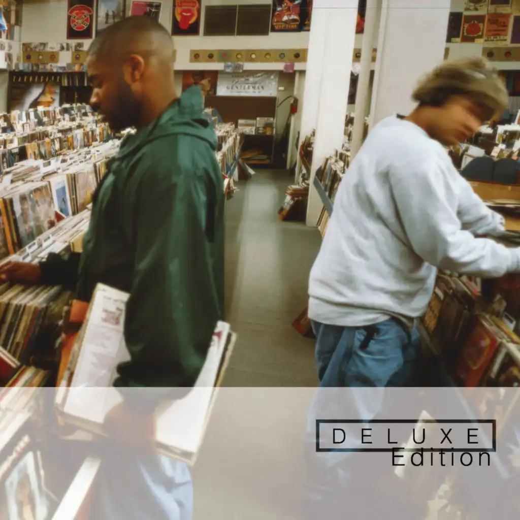 Endtroducing (Deluxe Edition)