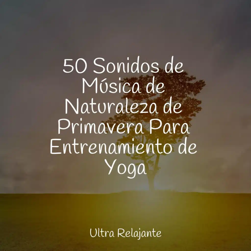 50 Sonidos de Música de Naturaleza de Primavera Para Entrenamiento de Yoga
