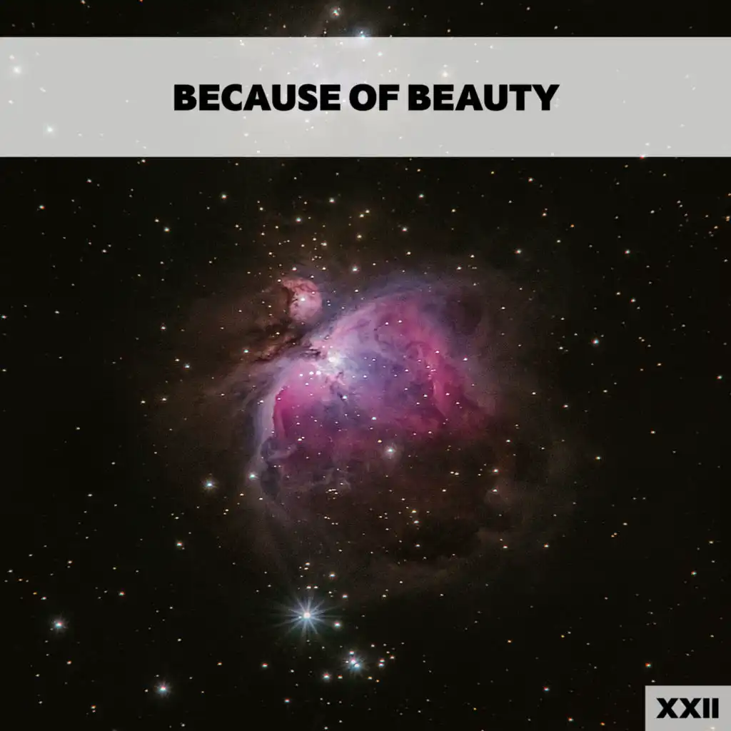 Because Of Beauty XXII