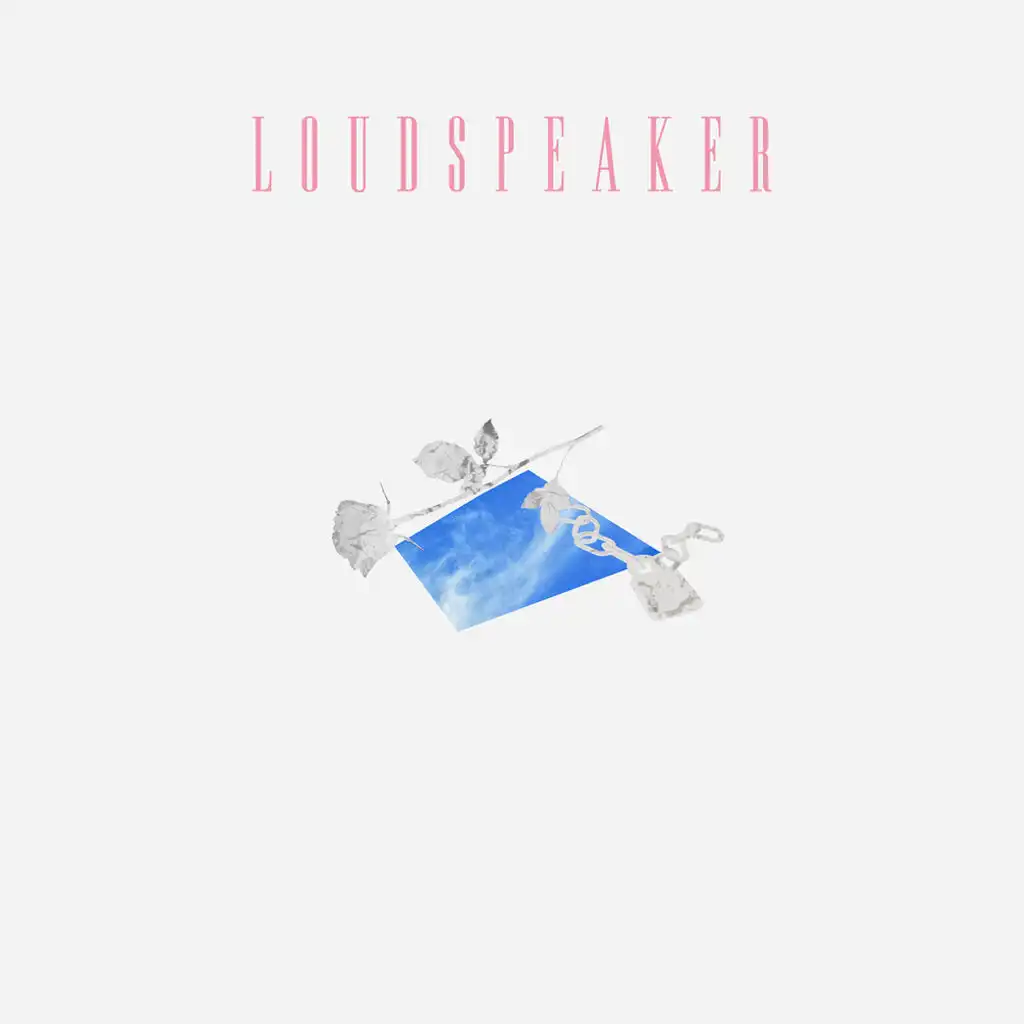 Loudspeaker