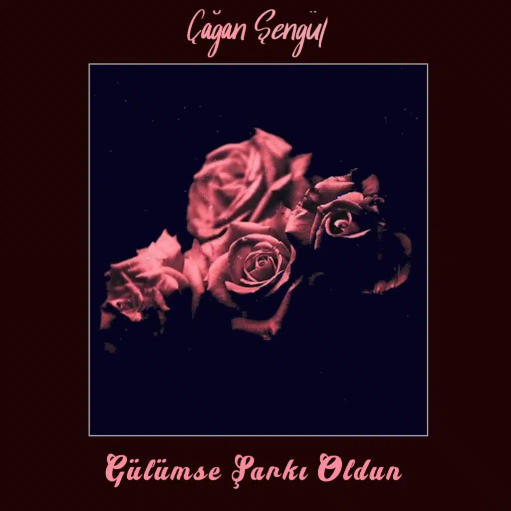 Gülümse Şarkı Oldun