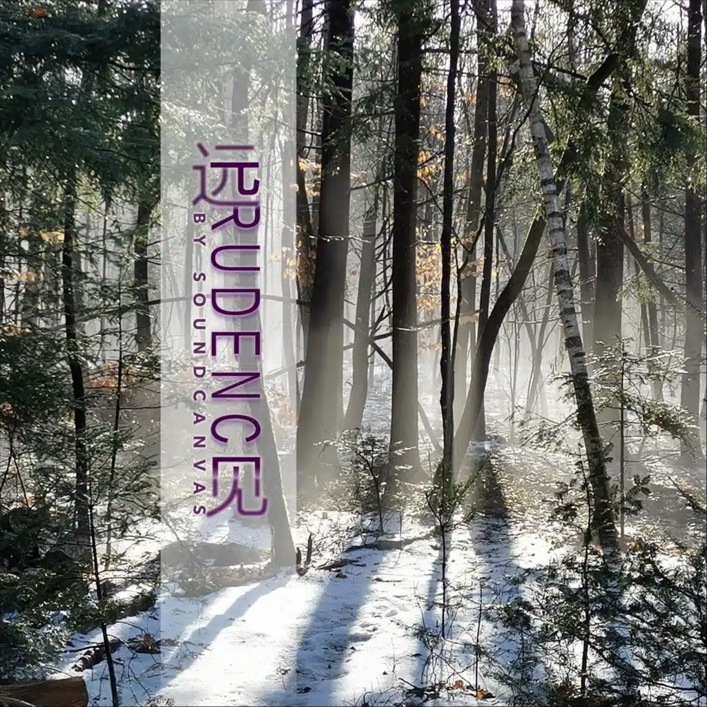 Soundcanvas, Stephen Emery & Suizi