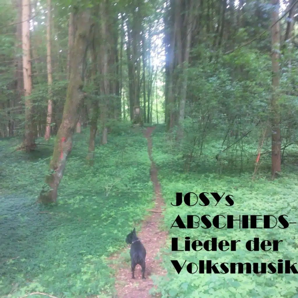 Josys ABSCHIEDS-Lieder der Volksmusik