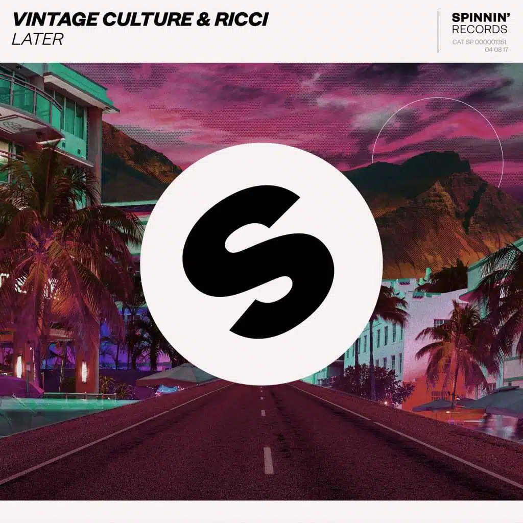Vintage Culture & RICCI