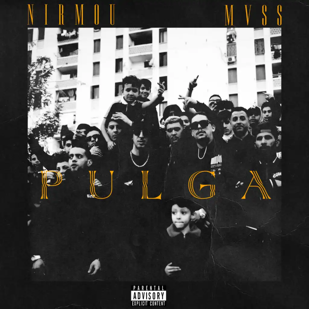 Pulga (feat. MVSS)