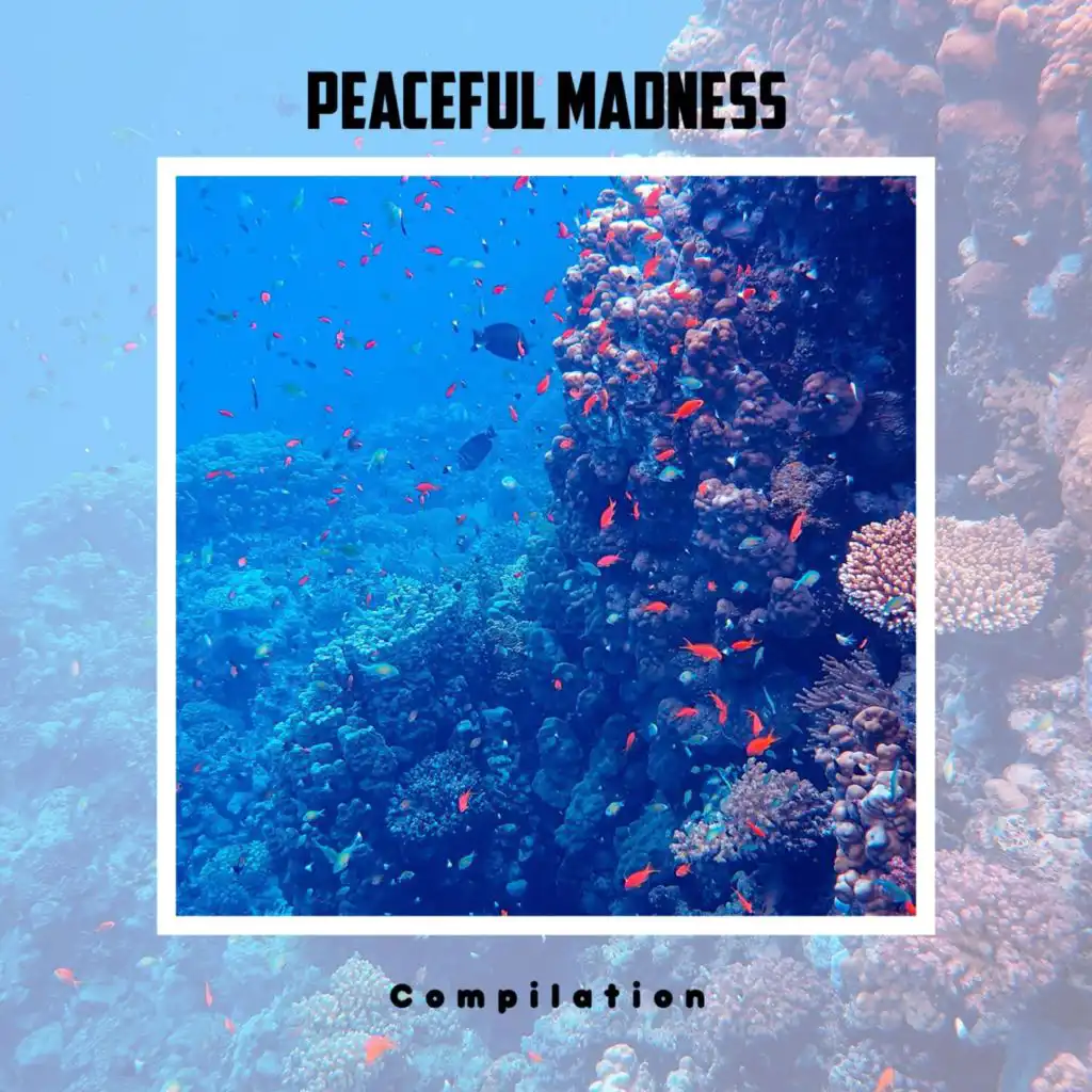 Peaceful Madness Compilation