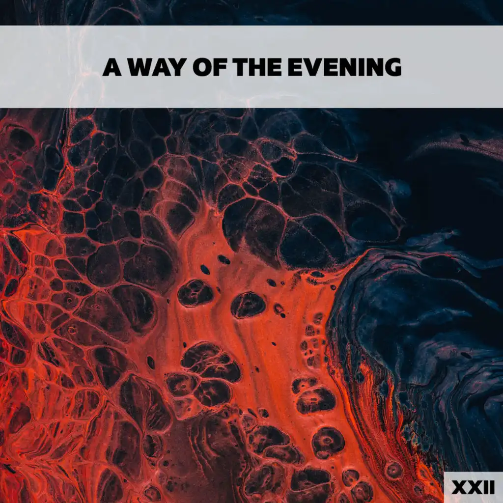 A Way Of The Evening XXII