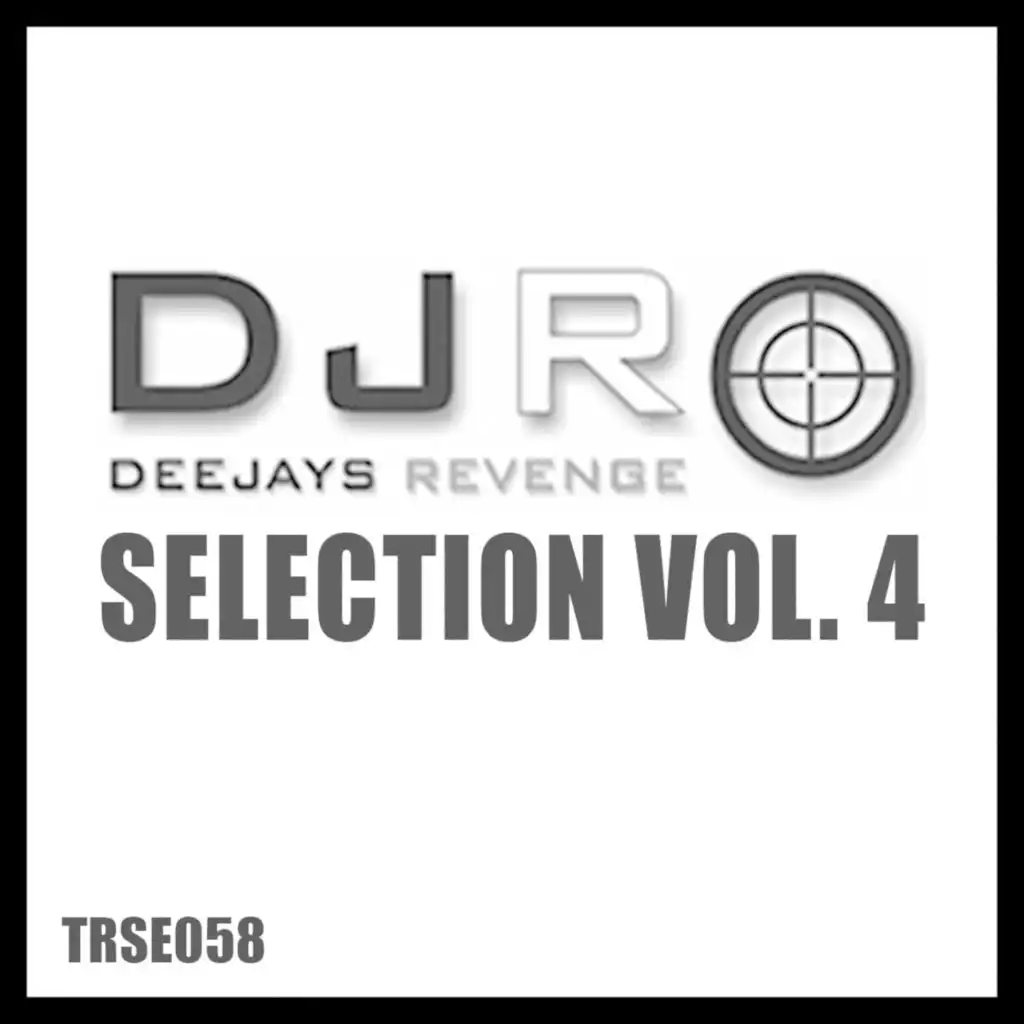 DJs Revenge Selection Vol. 4