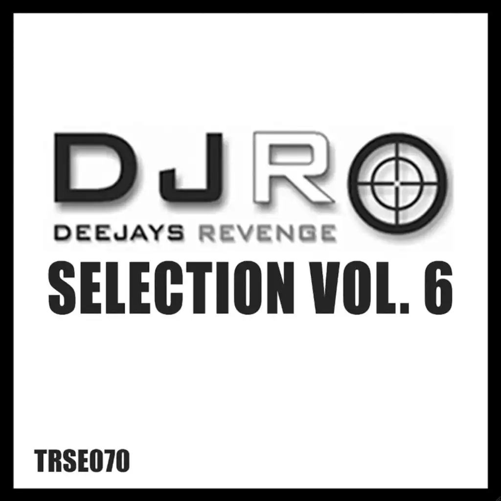 DJs Revenge Selection Vol. 6