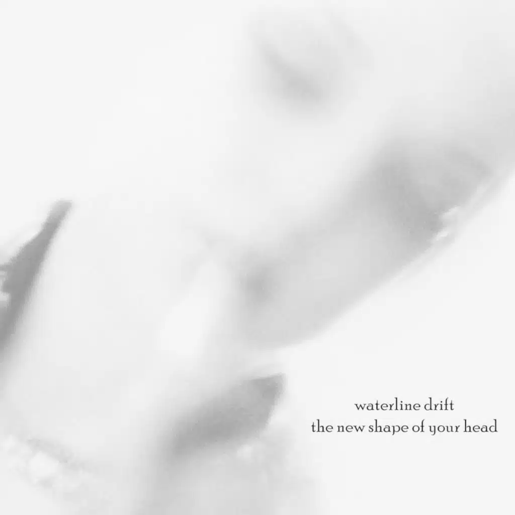 The New Shape of Your Head