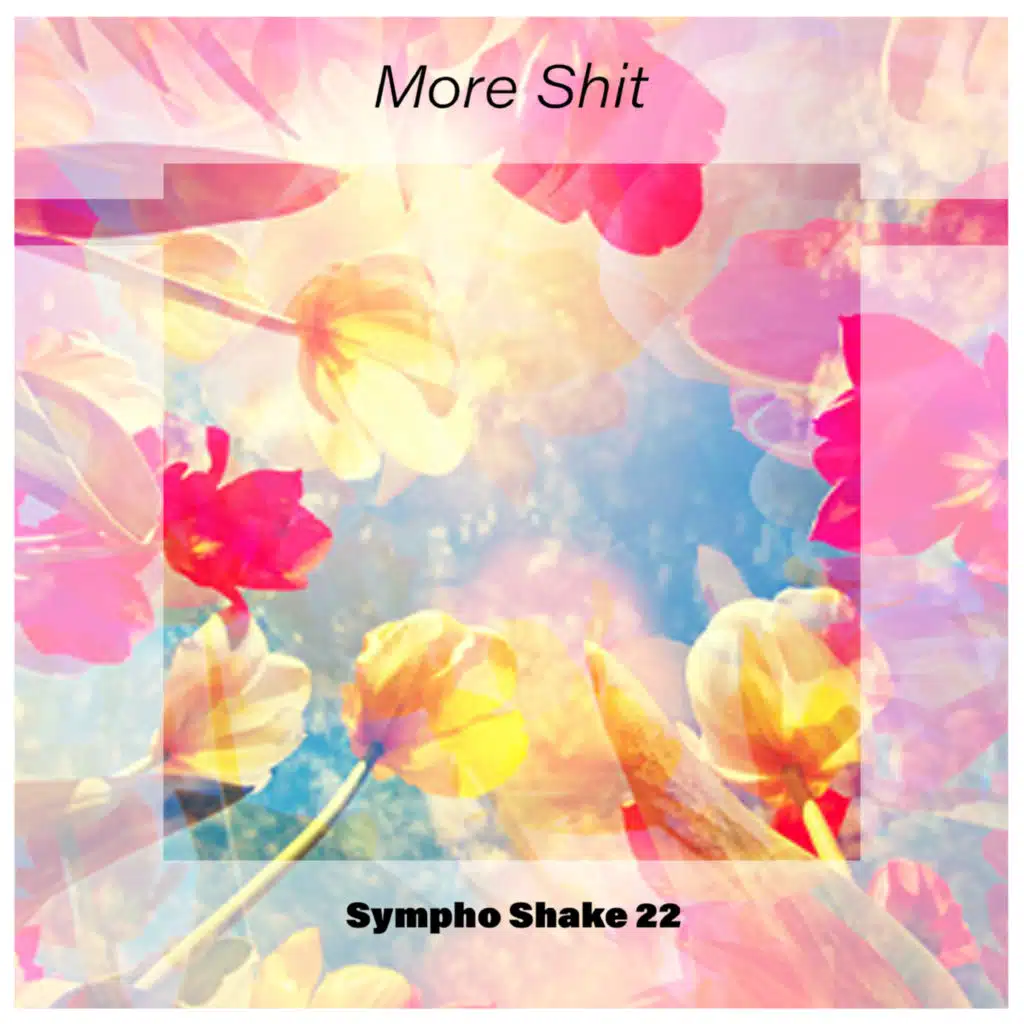 More Shit Sympho Shake 22