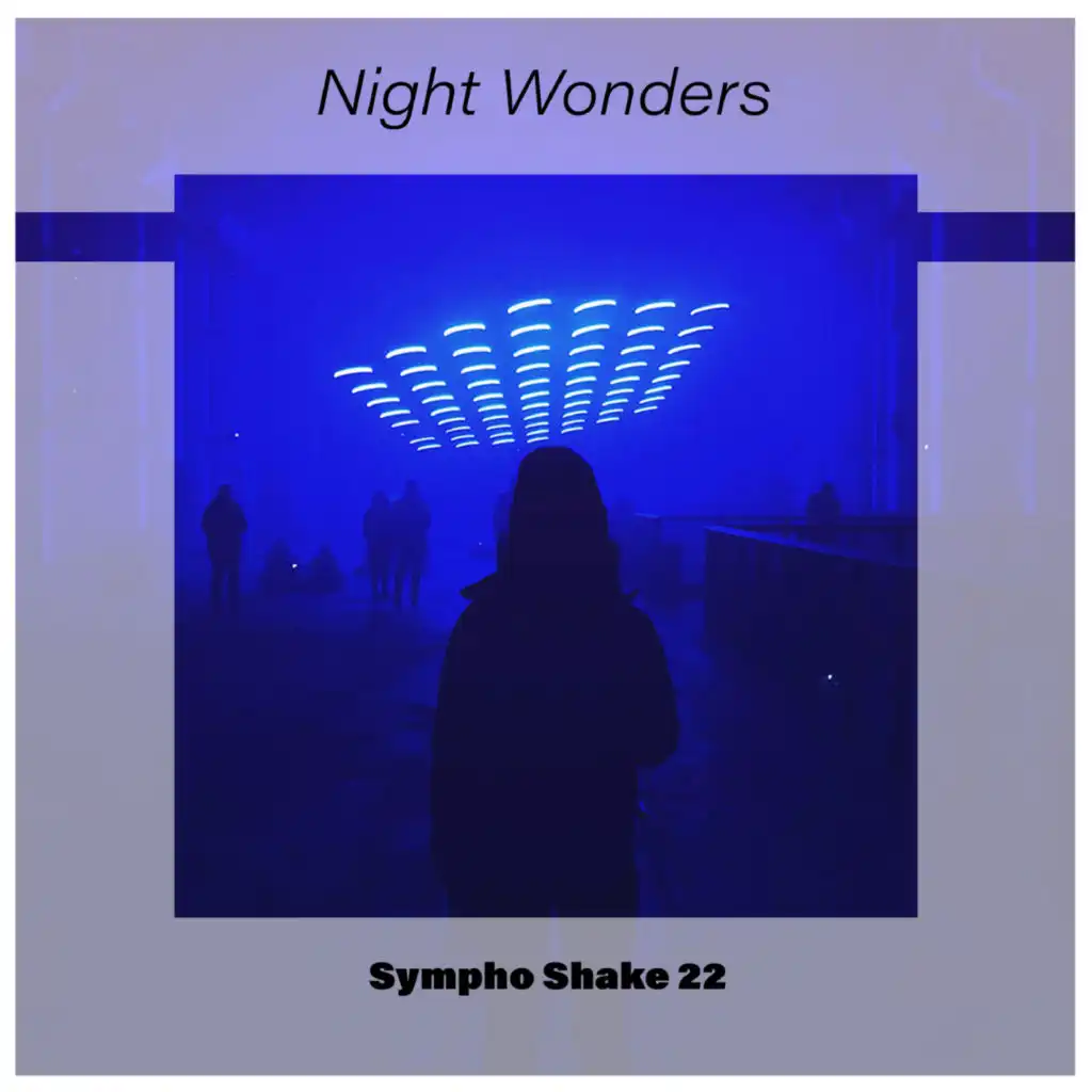 Night Wonders Sympho Shake 22