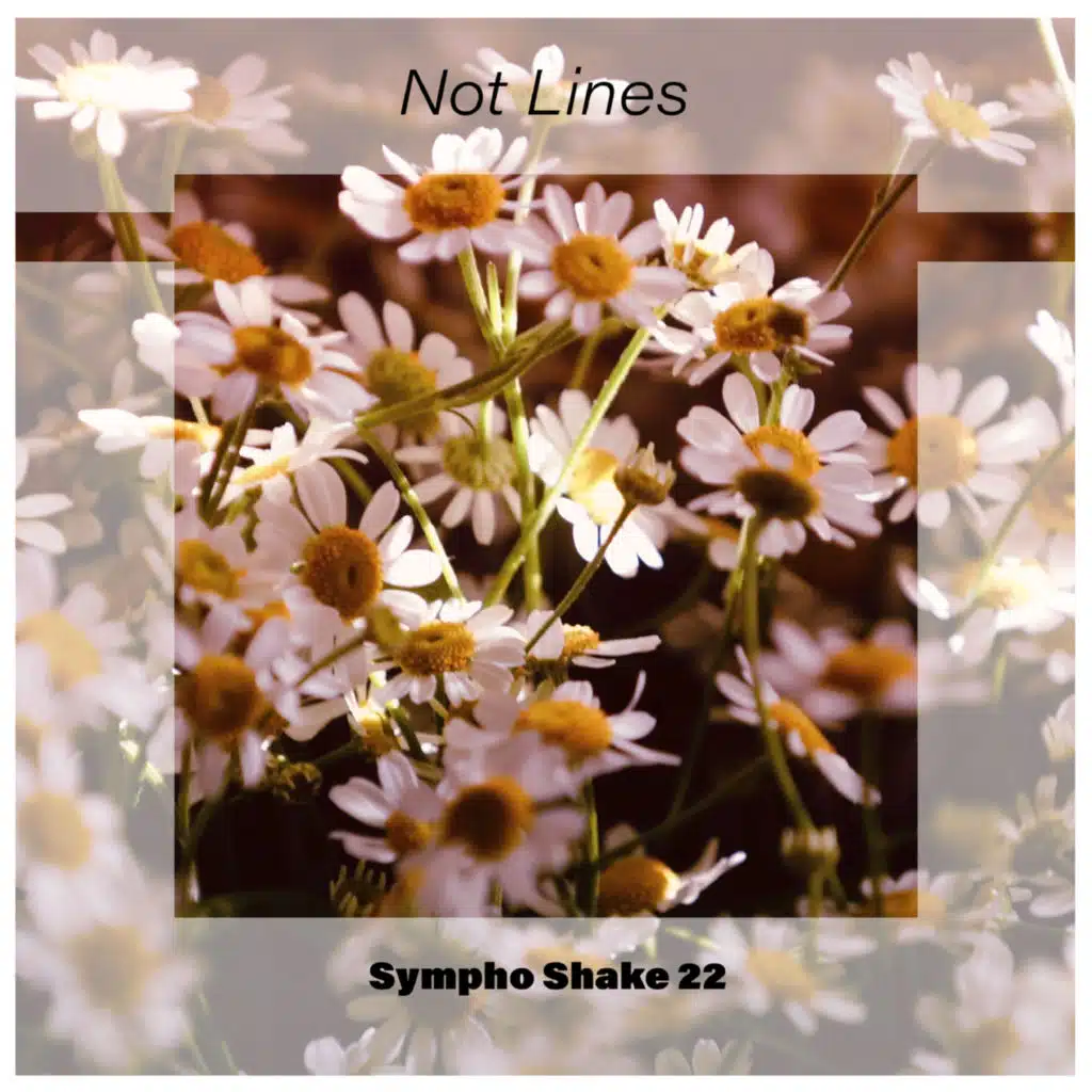 Not Lines Sympho Shake 22