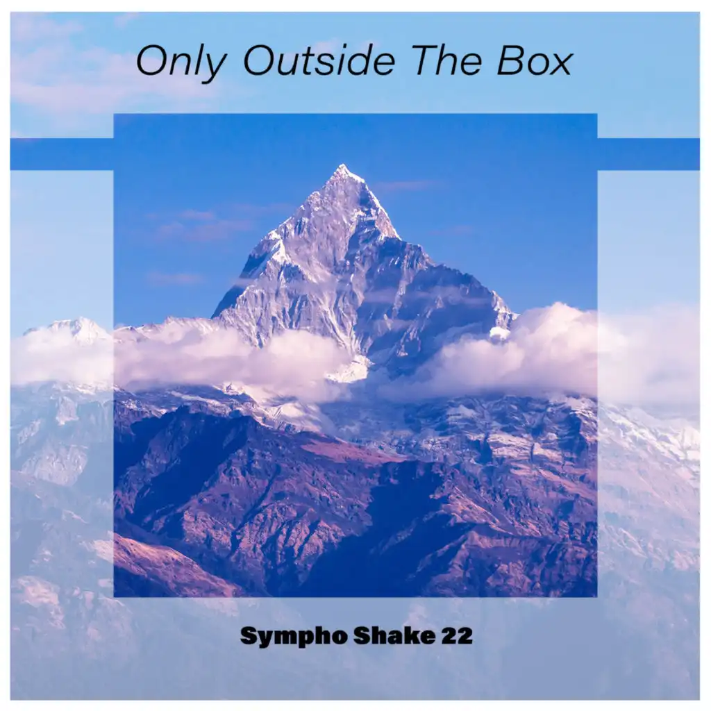 Only Outside The Box Sympho Shake 22