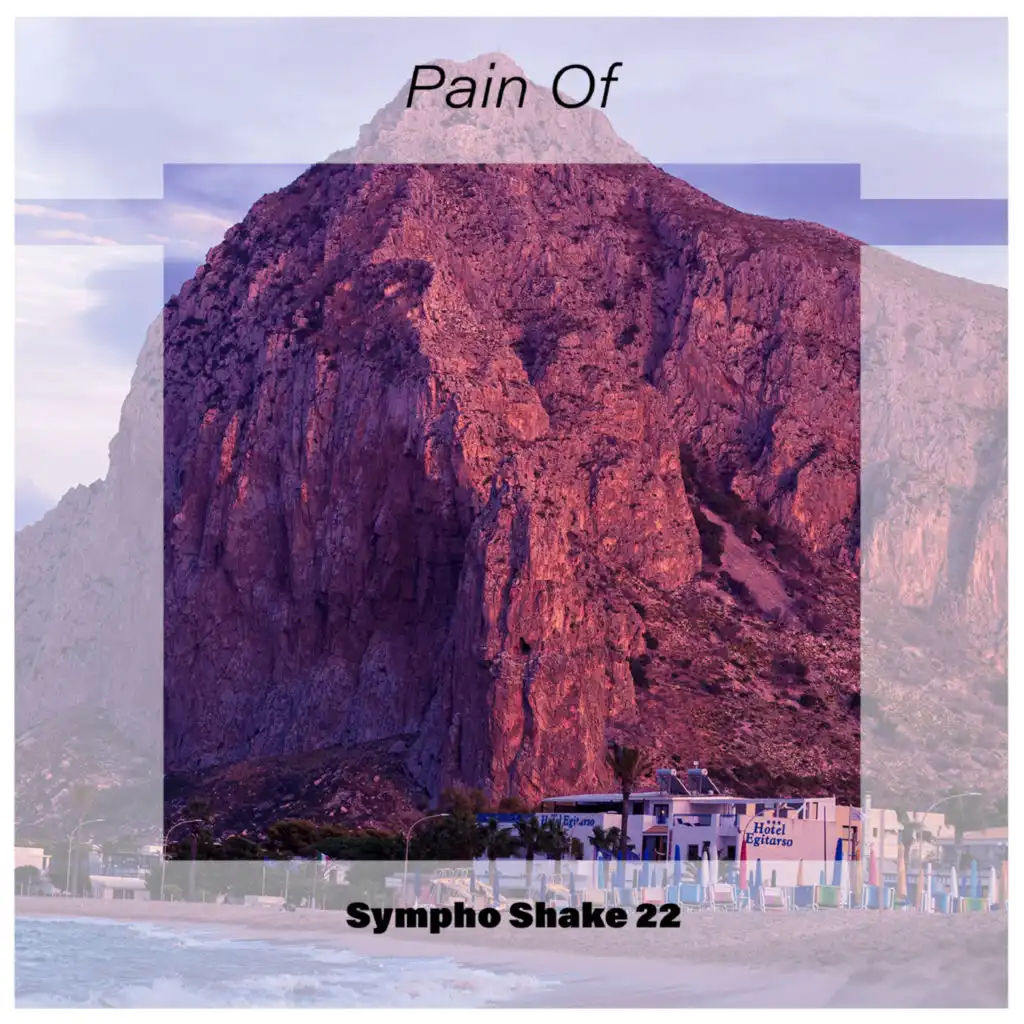 Pain Of Sympho Shake 22