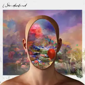 Wonderland (WNDRLND Remix)