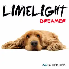 Dreamer 2011 (Main Mix)