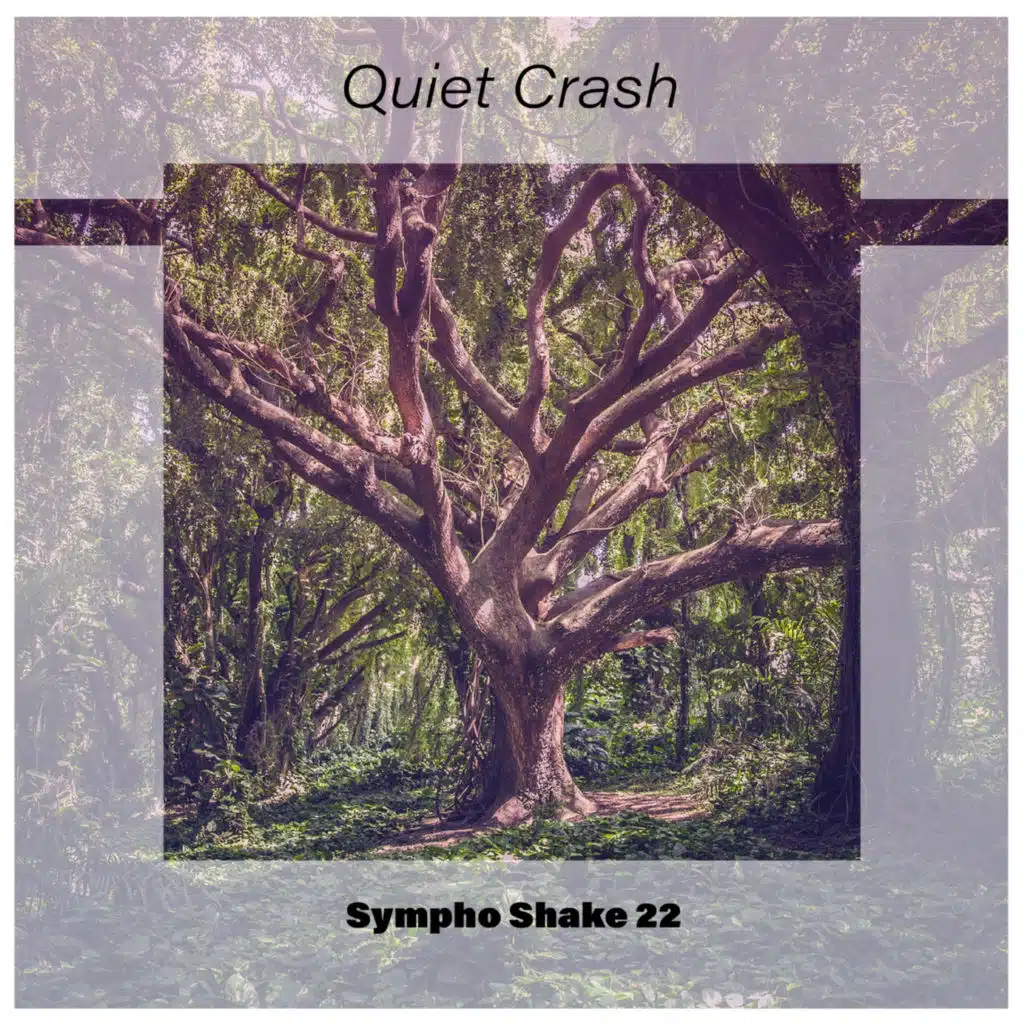 Quiet Crash Sympho Shake 22