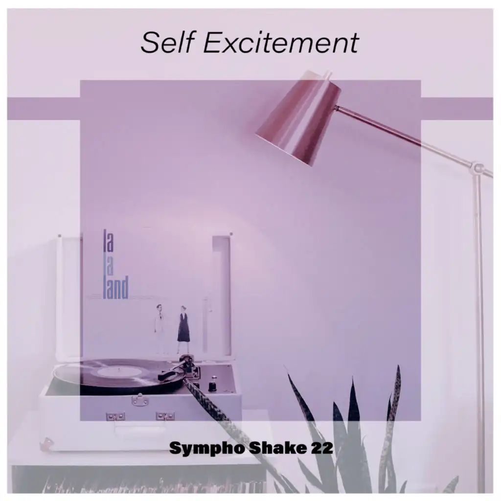 Self Excitement Sympho Shake 22