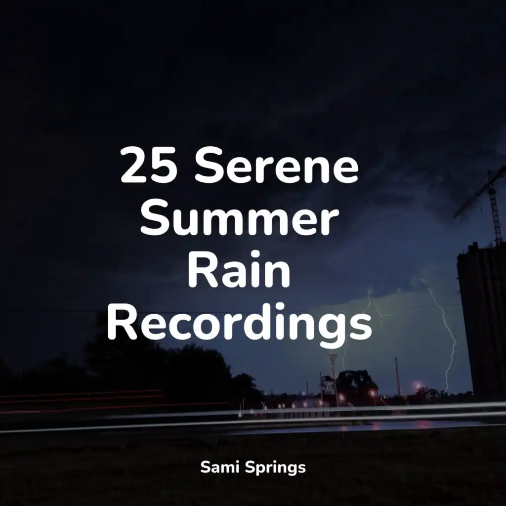 25 Serene Summer Rain Recordings By Rainforest And Zen Play On Anghami