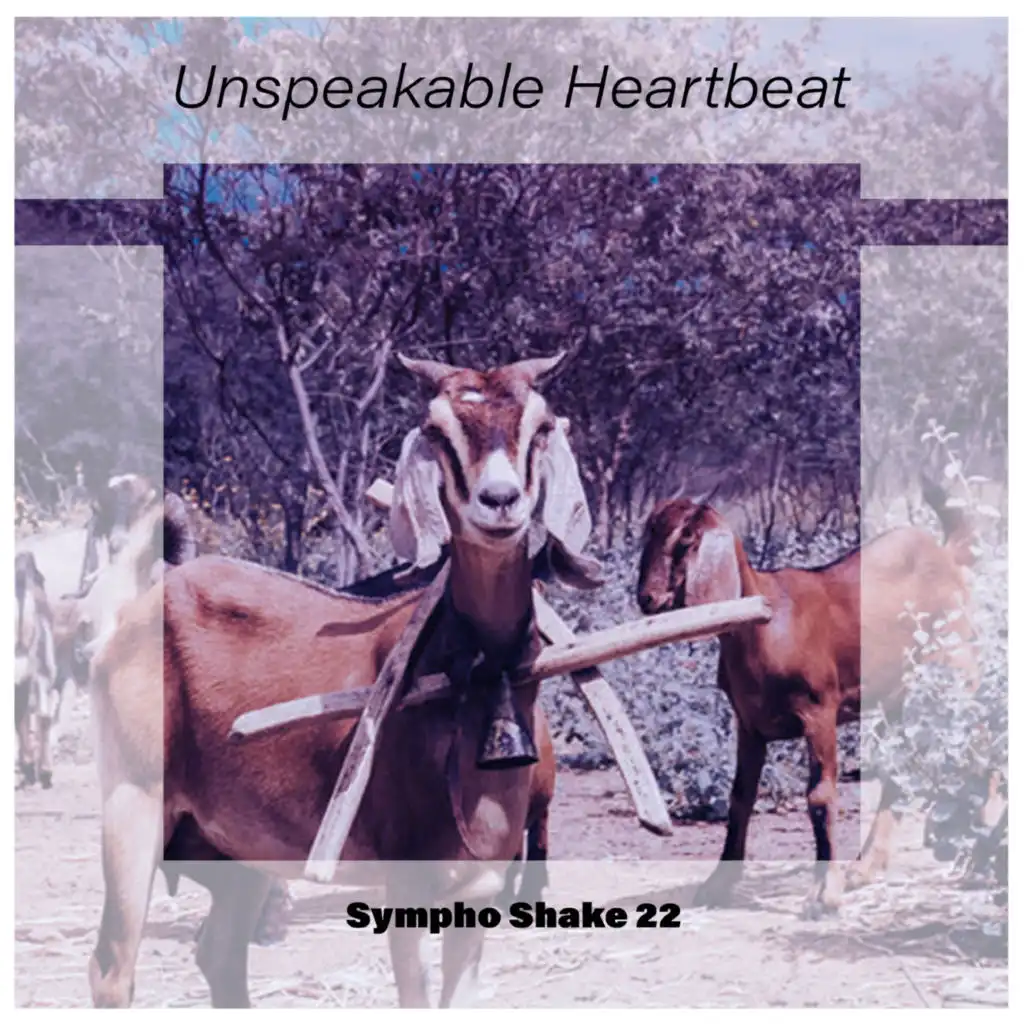 Unspeakable Heartbeat Sympho Shake 22