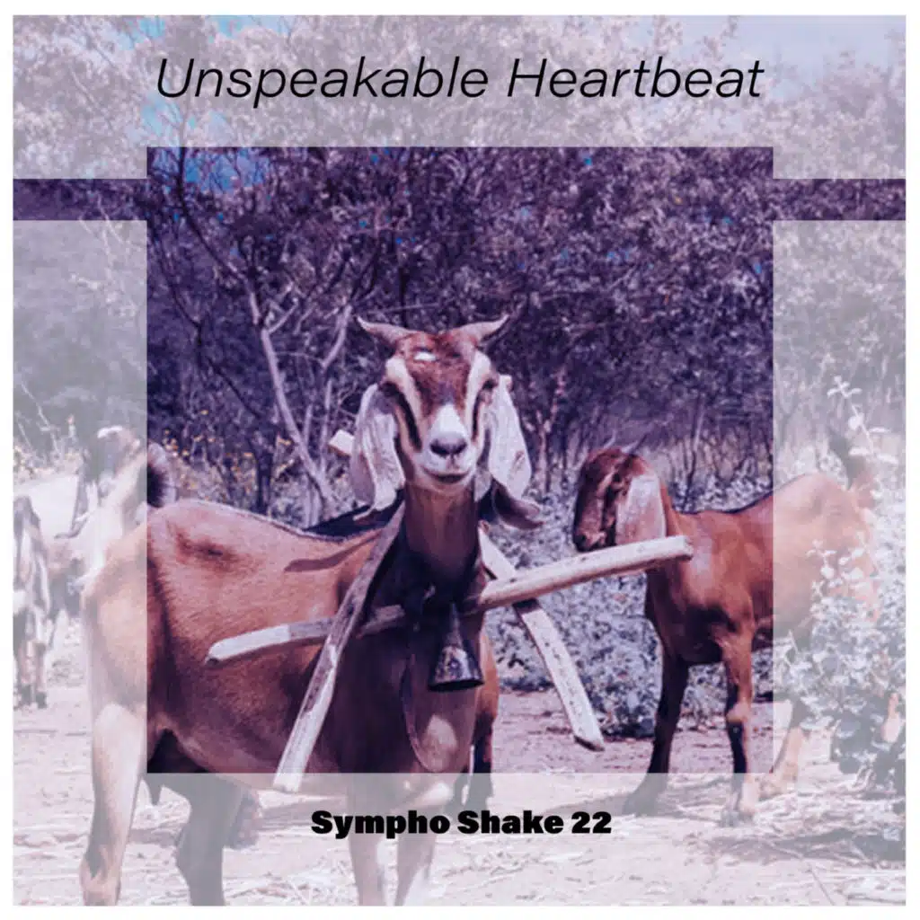 Unspeakable Heartbeat Sympho Shake 22