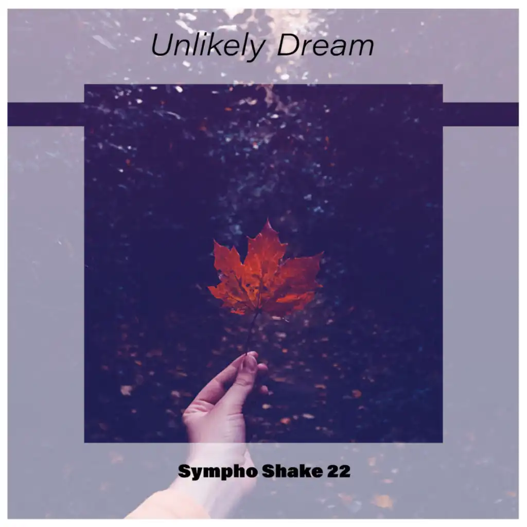 Unlikely Dream Sympho Shake 22
